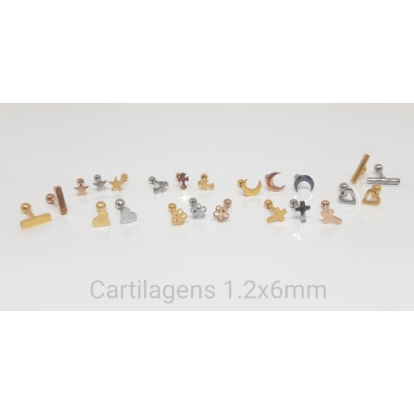 https://mypiercing.or01.futurasistemas.com.br/image/cache/data/eftr/Img_ftr_rp_638101-580x580.JPG