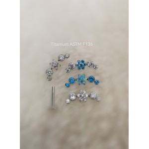 LBT TIT CLUSTER FLOR R/I  (CX6)